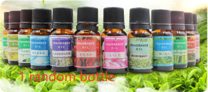 Plant aromatherapy essential oil